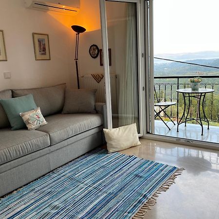 Schoenes Familienappartement In Pelekas, Corfu Mit Meerblick Eksteriør bilde