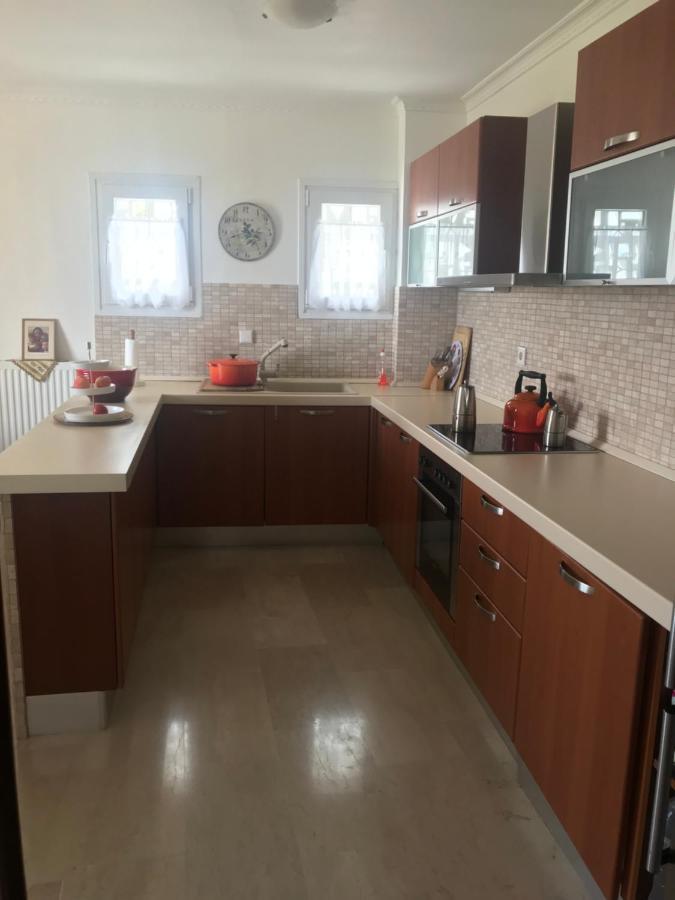 Schoenes Familienappartement In Pelekas, Corfu Mit Meerblick Eksteriør bilde